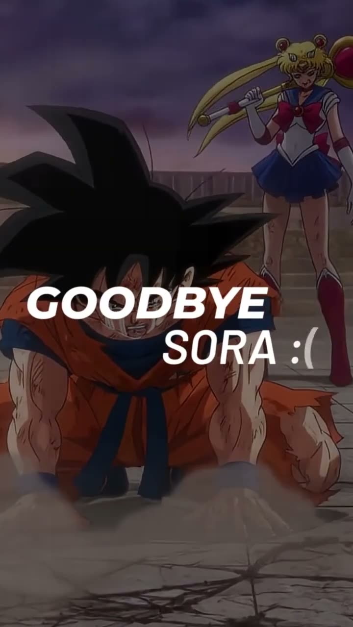 Goodbye Sora, We will miss the lolz